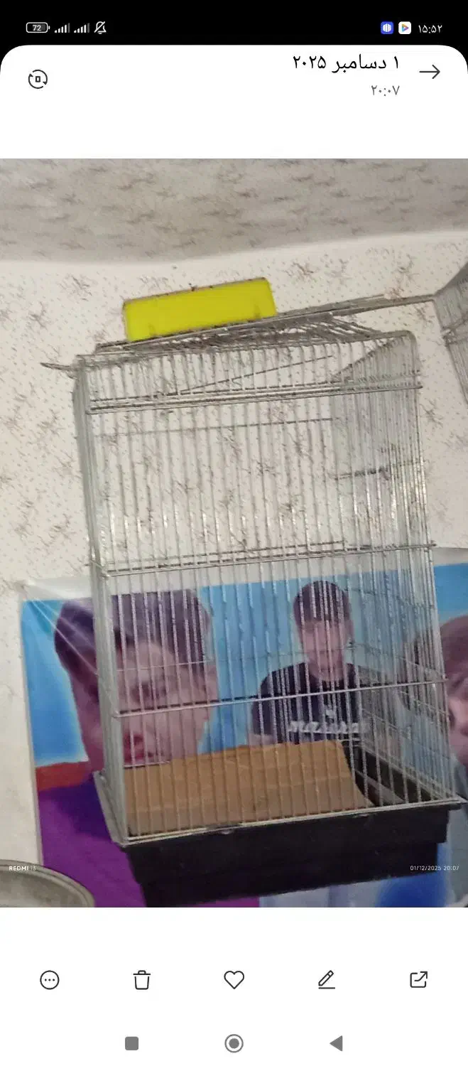 دو عدد قفس بزرگ پرنده|لوازم جانبی حیوانات|شوشتر, |دیوار