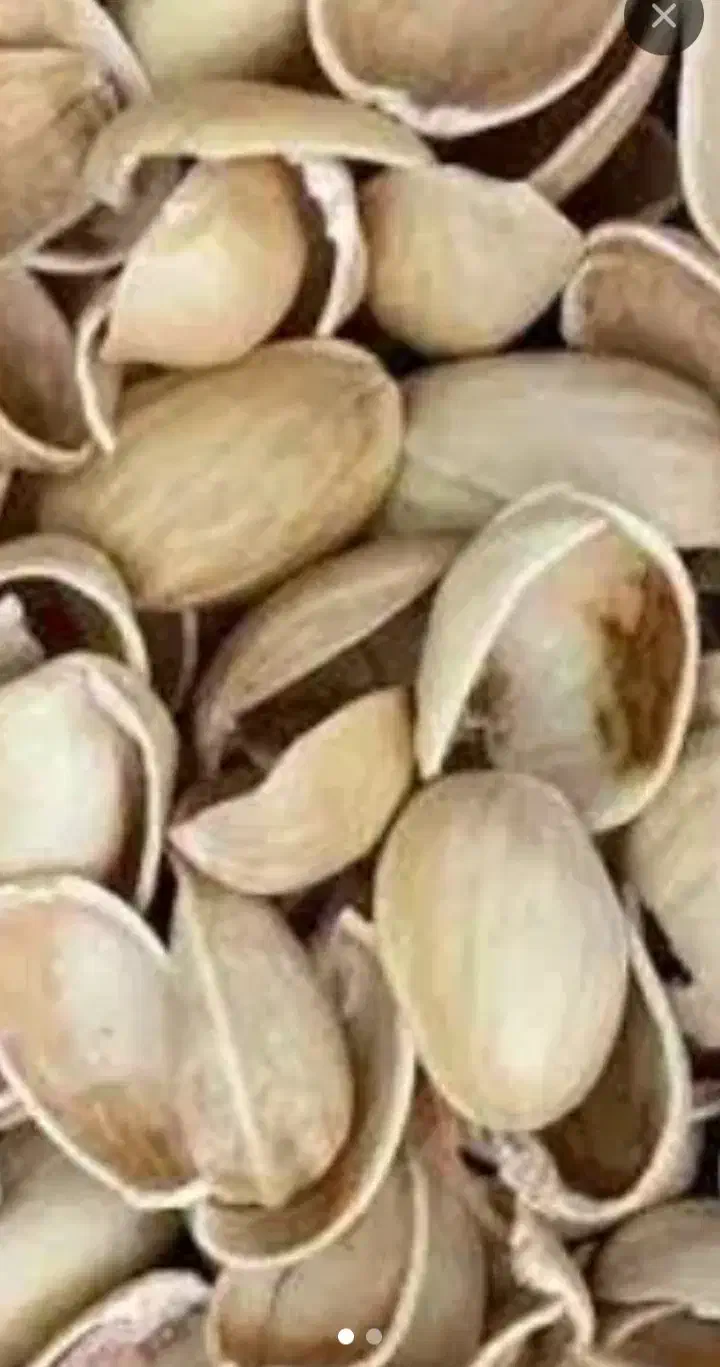 فروش تناژ پوست خشک بادم درختی..گردو..|عمدهفروشی|دامغان, |دیوار