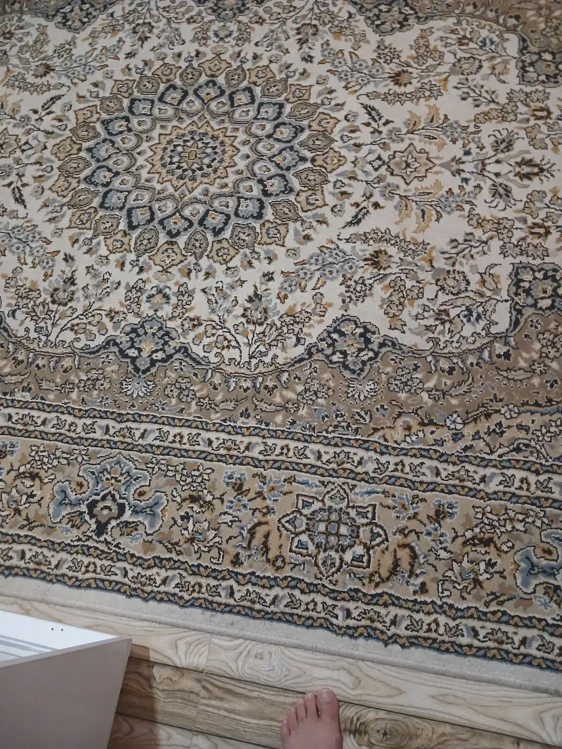 فرش  دسته دوم|فرش|گرگان, |دیوار