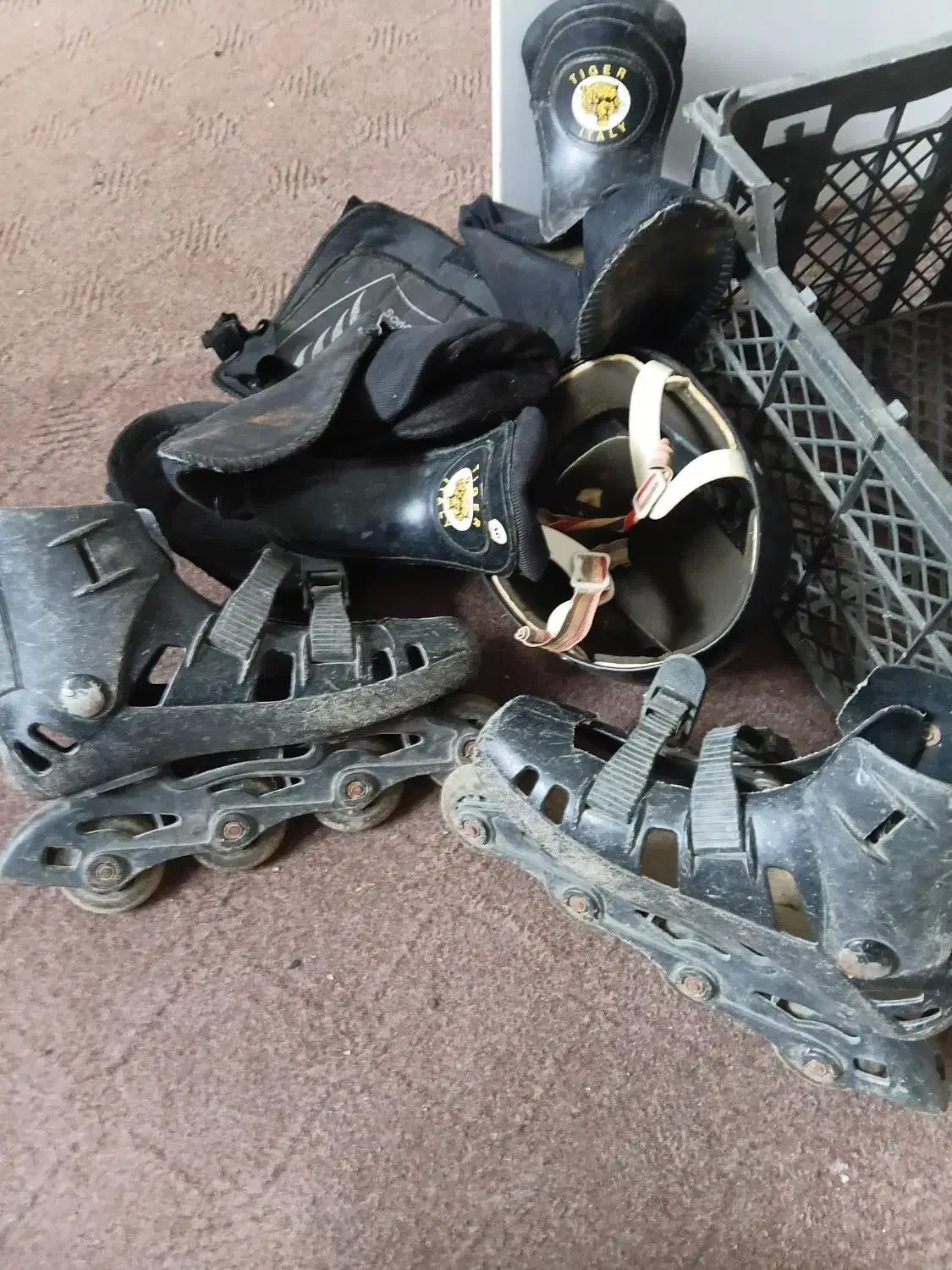 اسکیت ولوازم اسکیت|دوچرخه، اسکیت، اسکوتر|لاهیجان, فیاض|دیوار