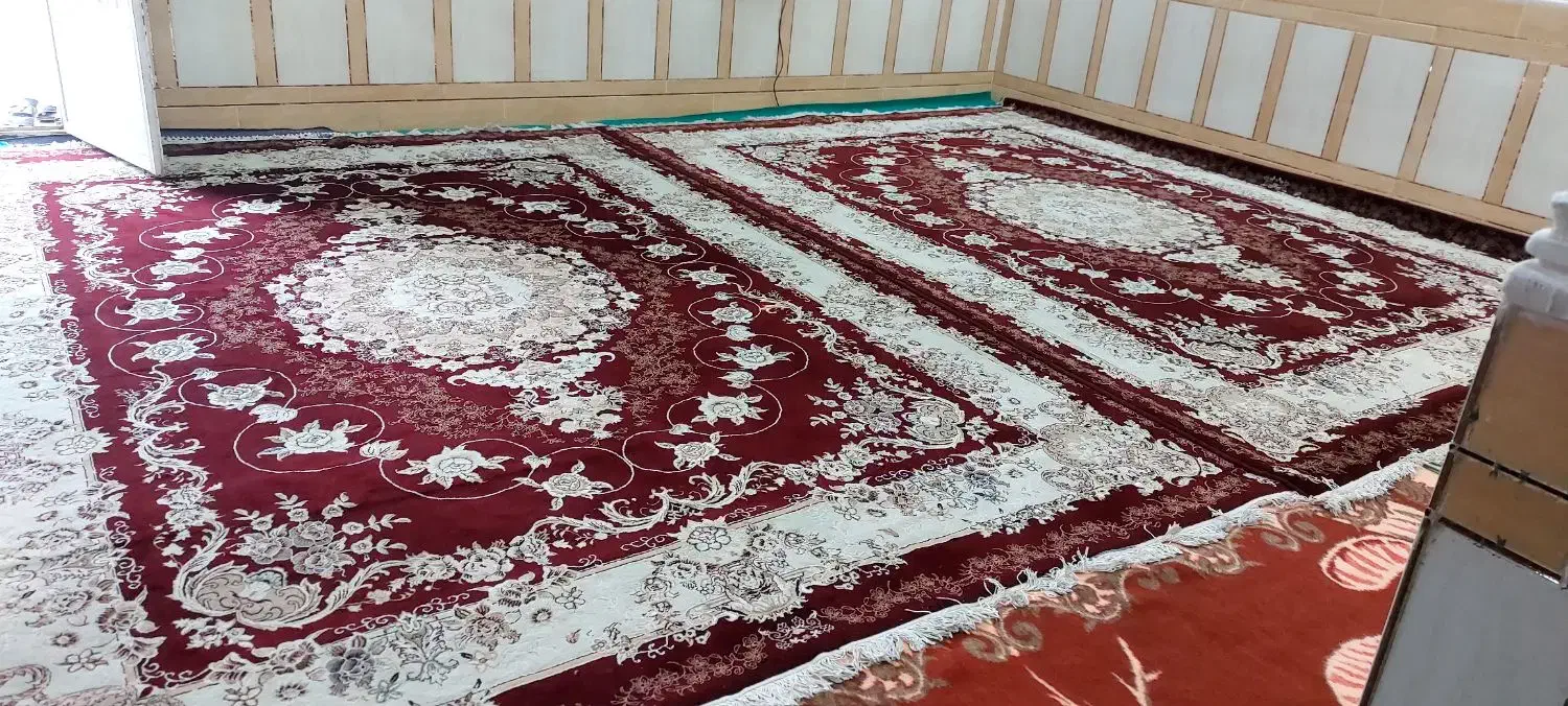 فرش ۱۲ متری درحد نو|فرش|شادگان, |دیوار