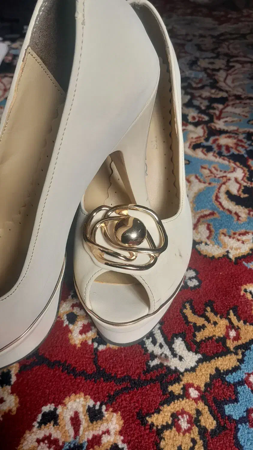 کفش|کیف، کفش، کمربند|بیرجند, |دیوار