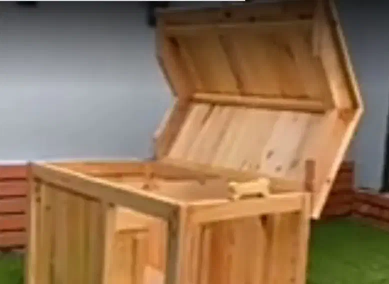 کلبه سگ|لوازم جانبی حیوانات|یزد, |دیوار