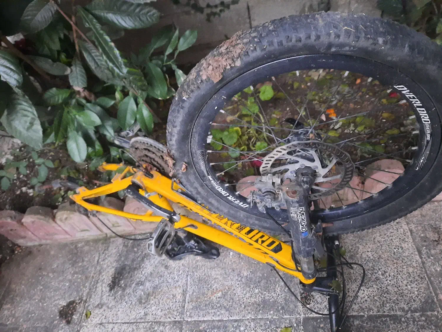 دوچرخه۱۶|دوچرخه، اسکیت، اسکوتر|اسالم, |دیوار