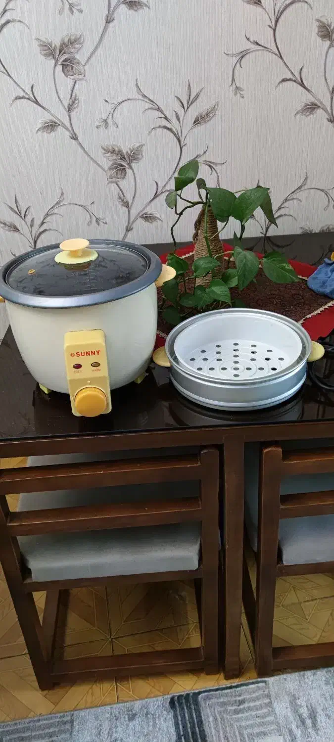 پلوپز و بخار پز|اجاق گاز و لوازم برقی پخت‌وپز|کرج, مصباح|دیوار