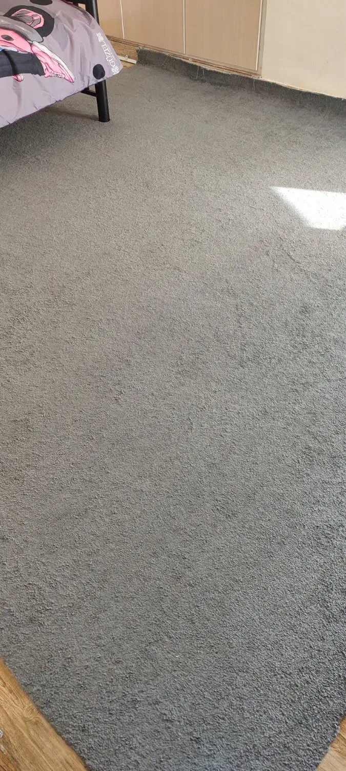 موکت|موکت|بندر کنگان, |دیوار