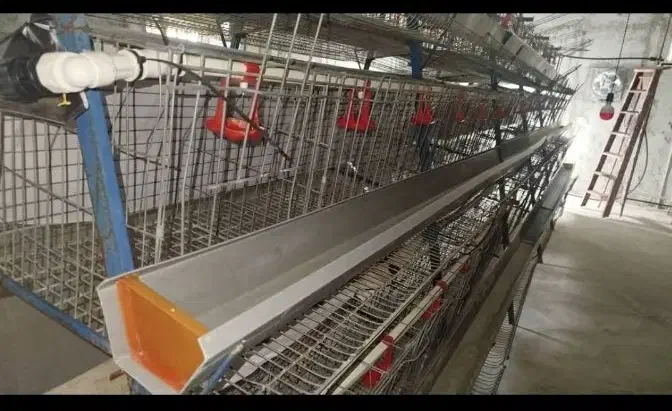 قفس منبری مرغ|لوازم جانبی حیوانات|دلوار, |دیوار