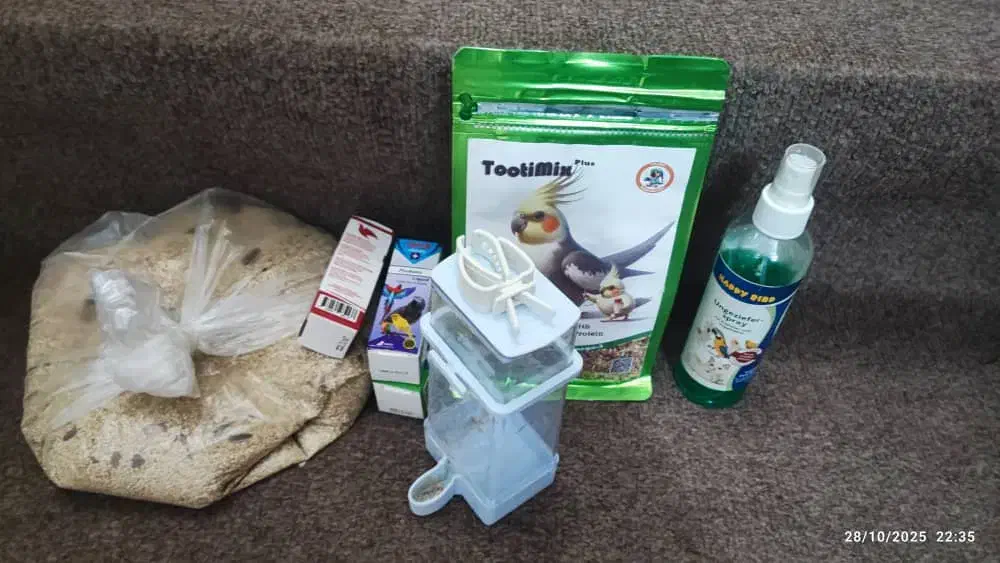 وسایل عروس هلندی|لوازم جانبی حیوانات|تهران, جیحون|دیوار