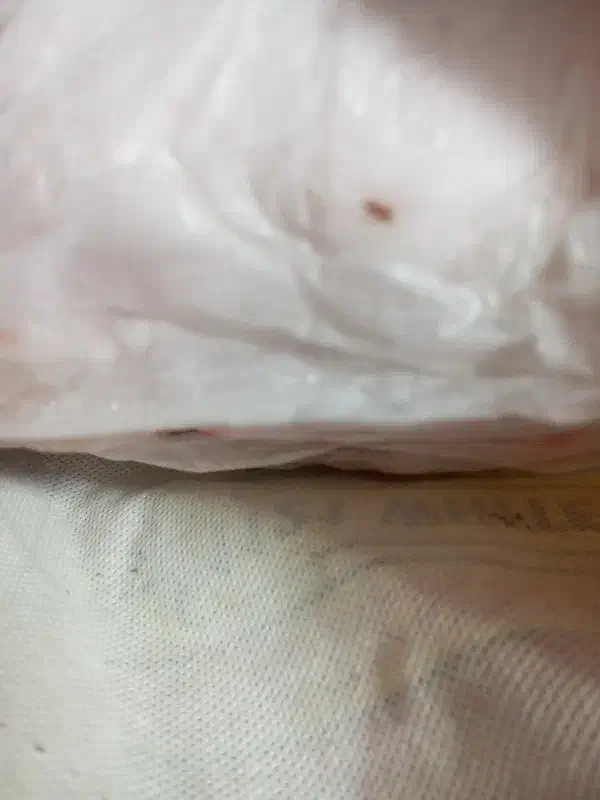 دنبه|خوردنی و آشامیدنی|خواف, |دیوار