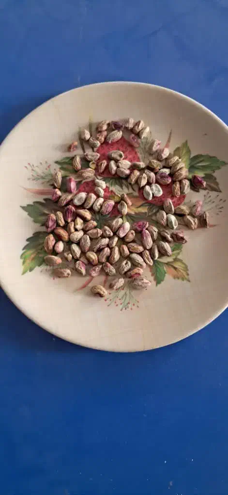 خریدار انواع ارقام پسته|خدمات باغبانی و درختکاری|سروستان, |دیوار