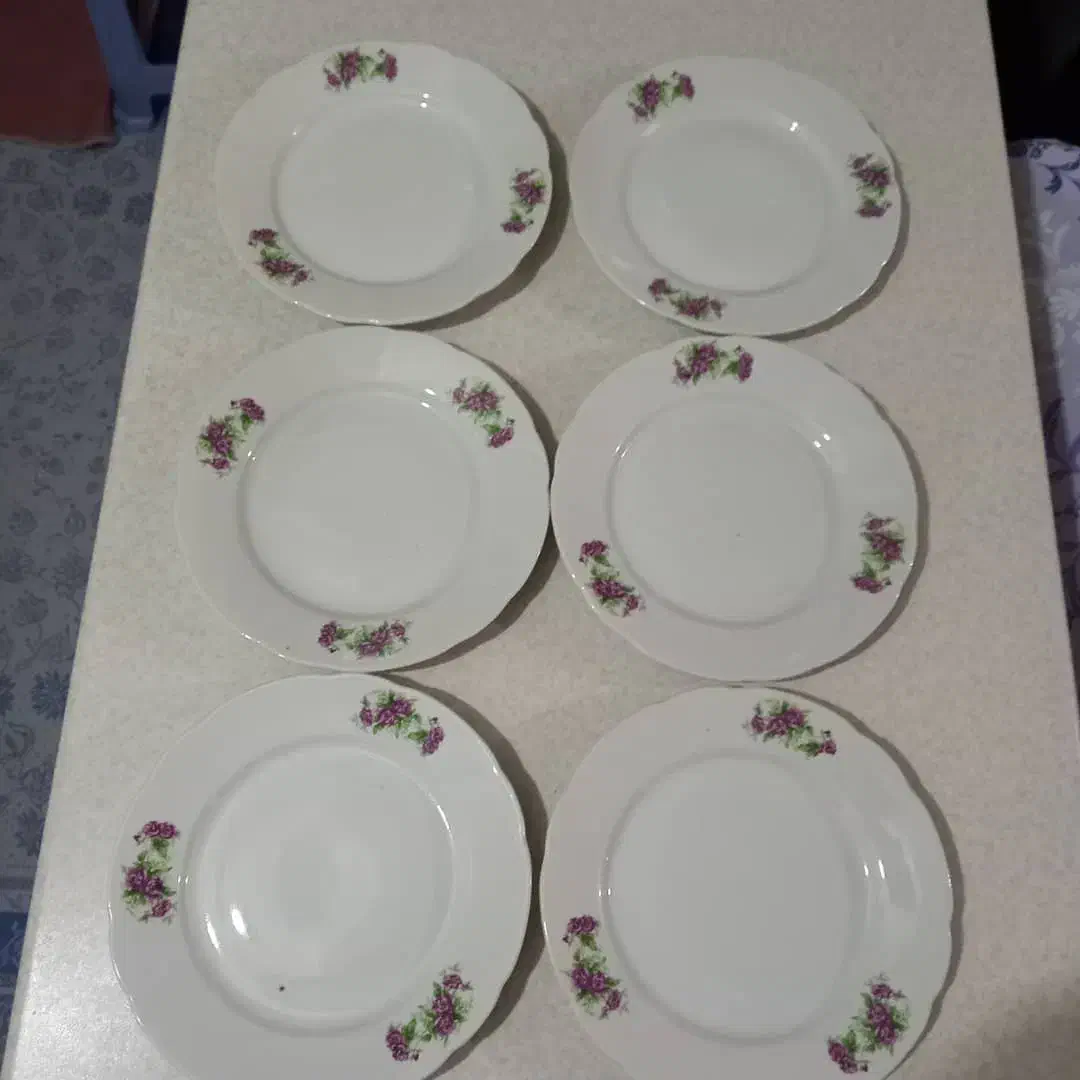 بشقاب چینی رویال|ظروف سرو و پذیرایی|تهران, جوادیه|دیوار