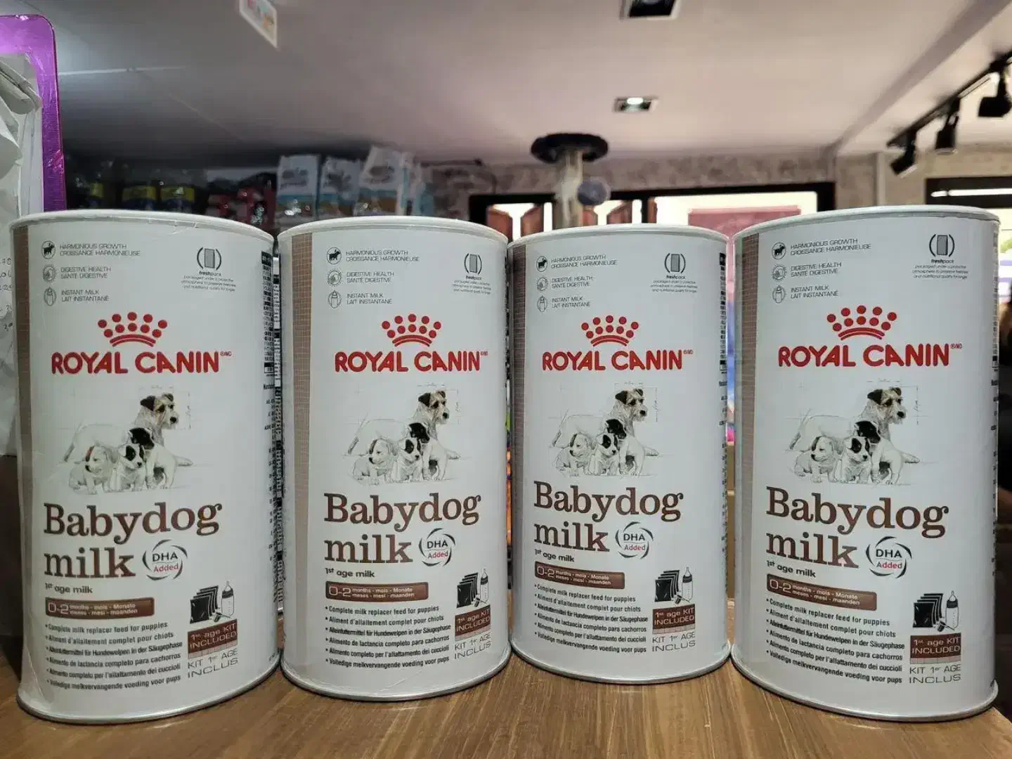 غذای خشک گربه عمده|لوازم جانبی حیوانات|بانه, |دیوار