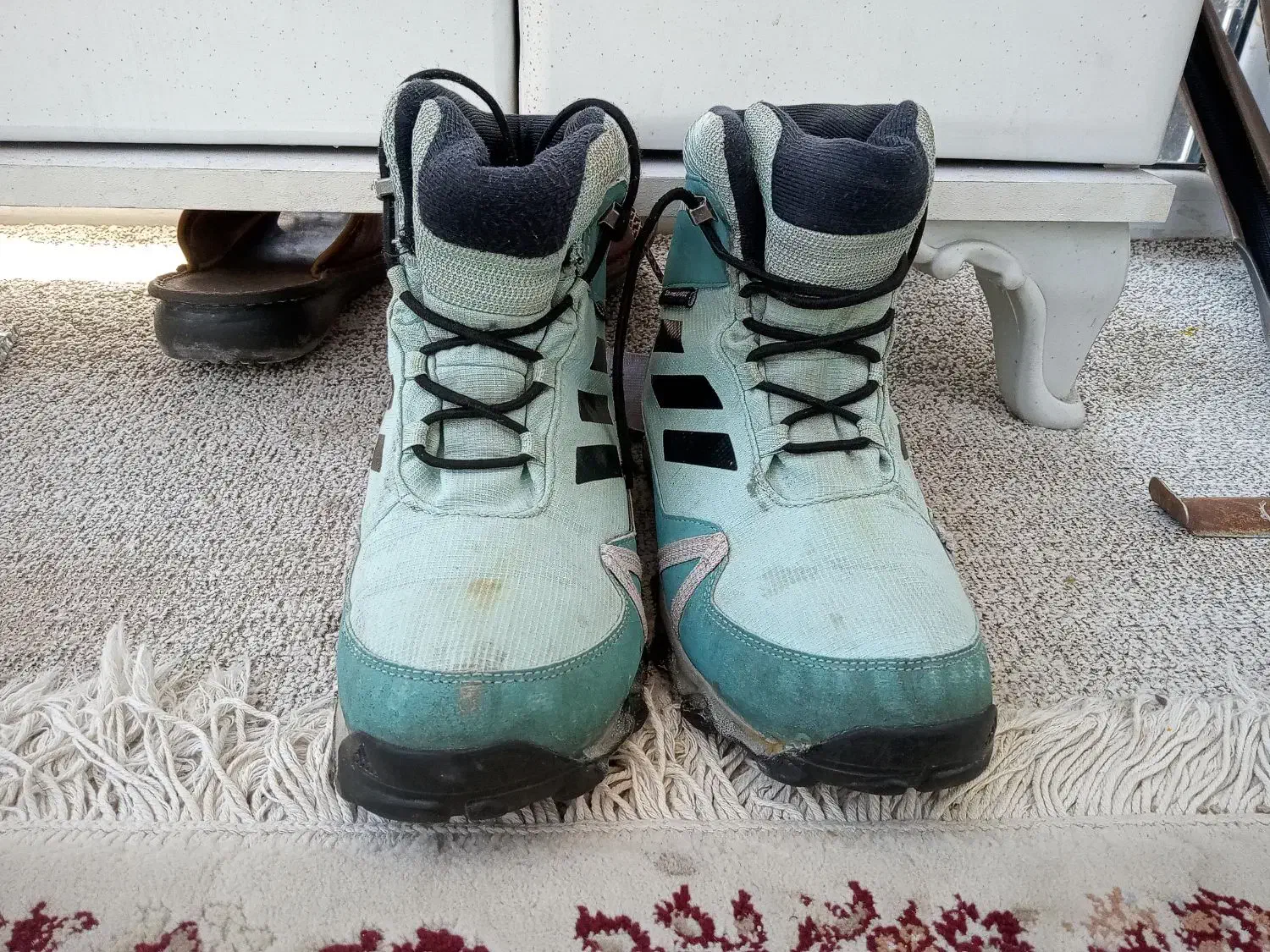 کفش کوه نوردی آدیداس اصل|کوهنوردی و کمپینگ|جم, |دیوار