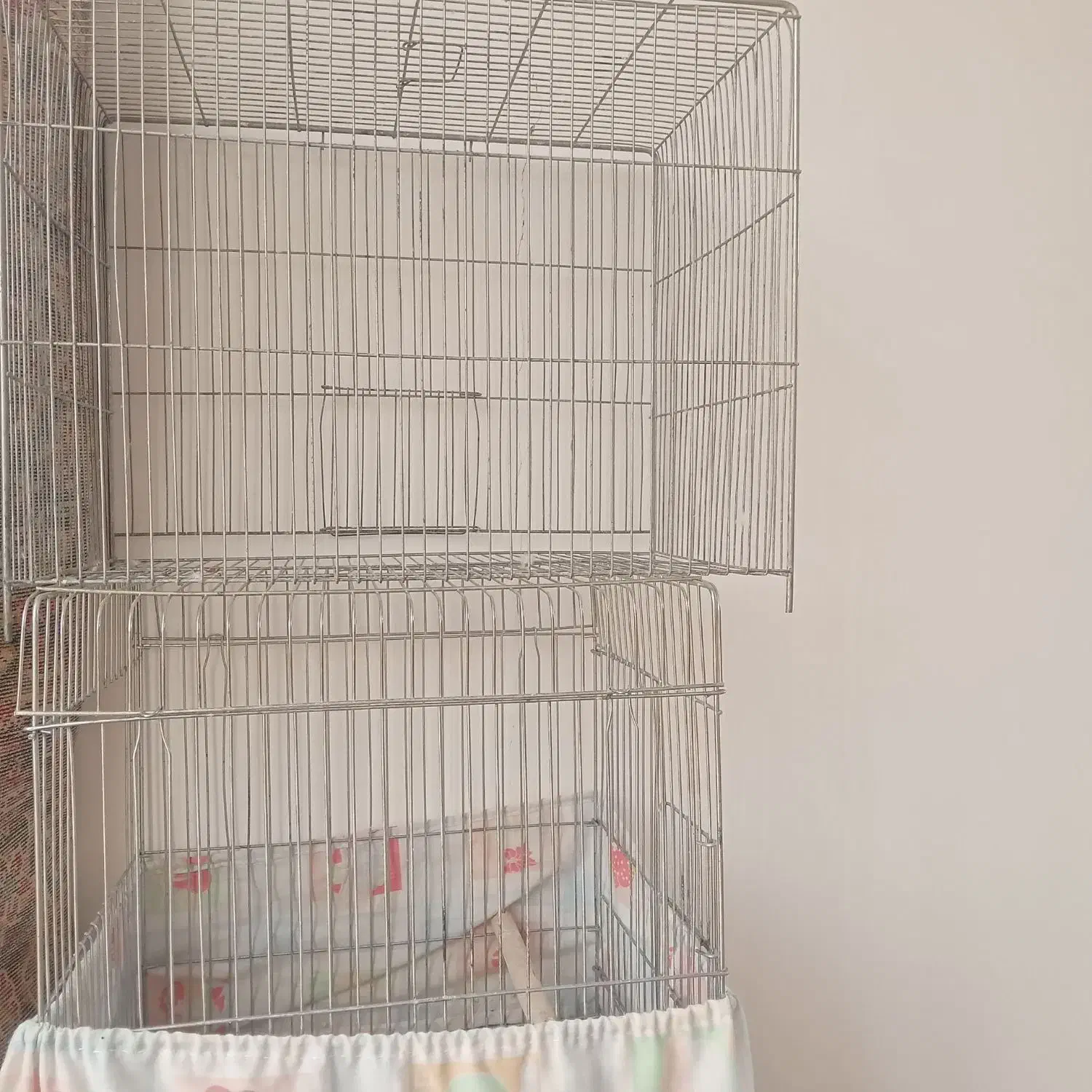 قفس پرنده|لوازم جانبی حیوانات|بروجرد, |دیوار