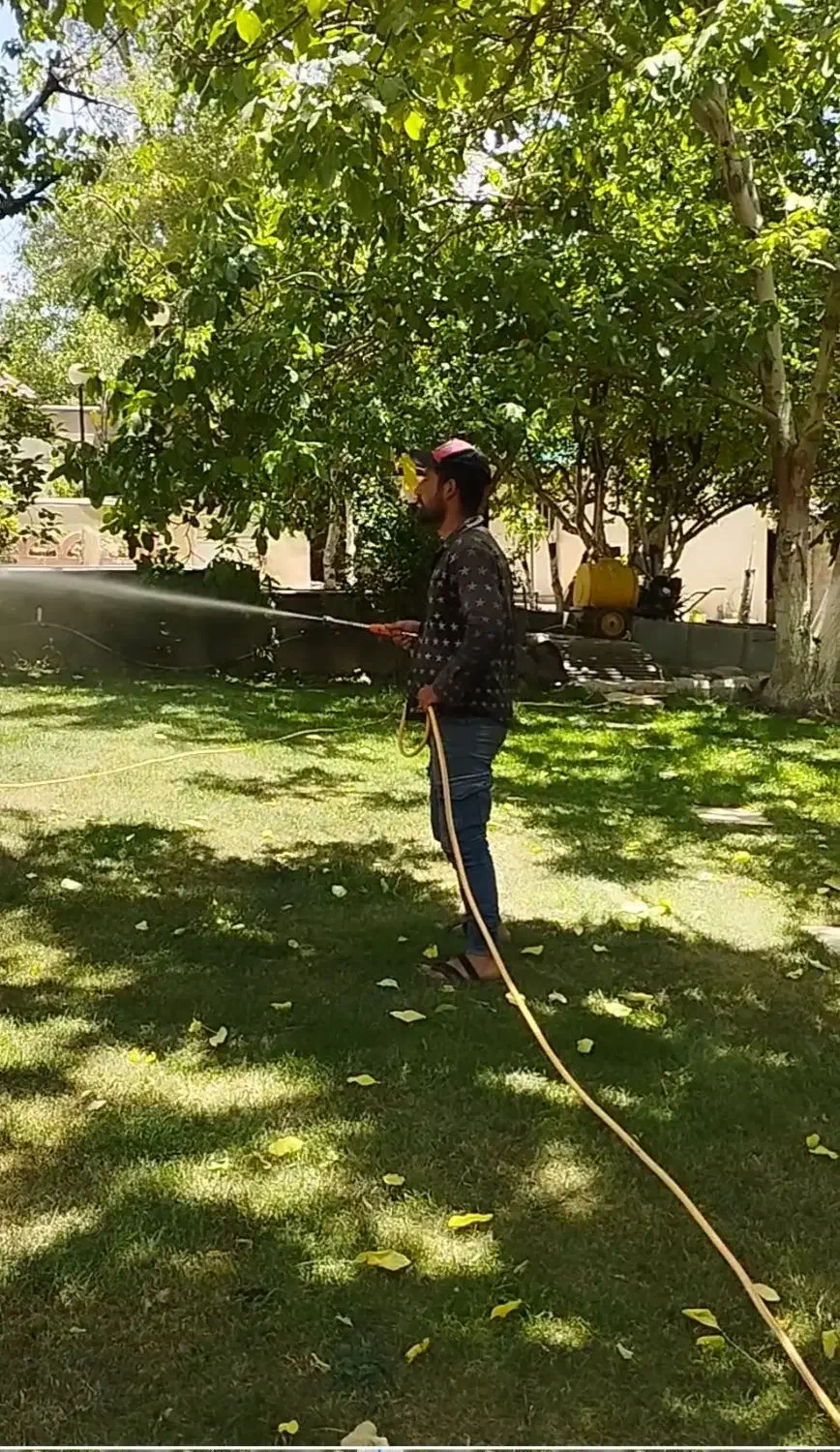 سمپاشی باغبانی|خدمات باغبانی و درختکاری|پردیس, فاز ۲|دیوار