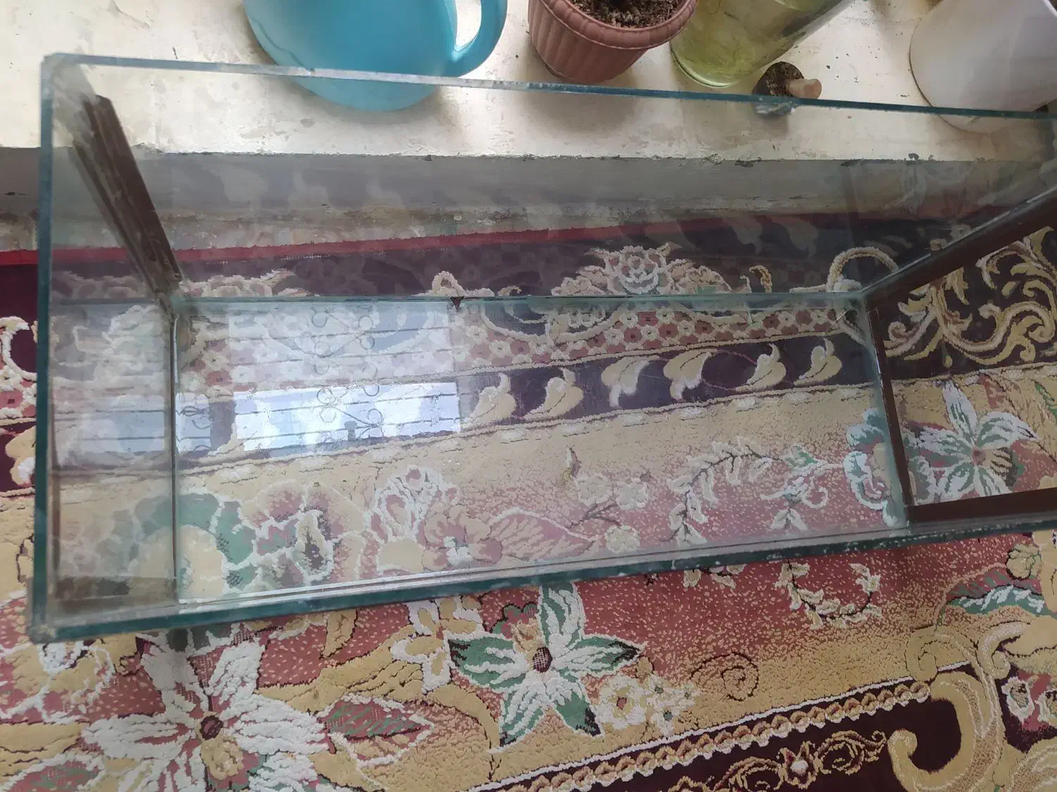 اکواریوم بزرگ|ماهی|شیراز, کوزه گری|دیوار