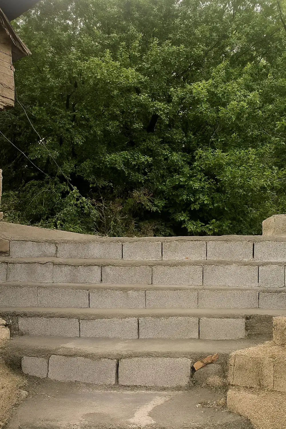 خانه روستایی دنج در دل جنگل ـ روزانه و بلند مدت|اجارهٔ خانه و ویلا|اطاقور, |دیوار