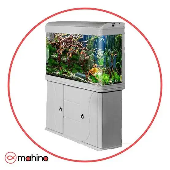 آکواریوم دلسا|ماهی|بیرجند, |دیوار