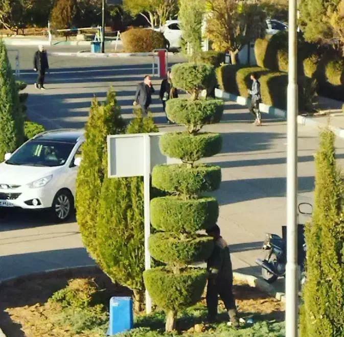 خدمات باغبانی|خدمات باغبانی و درختکاری|یزد, |دیوار
