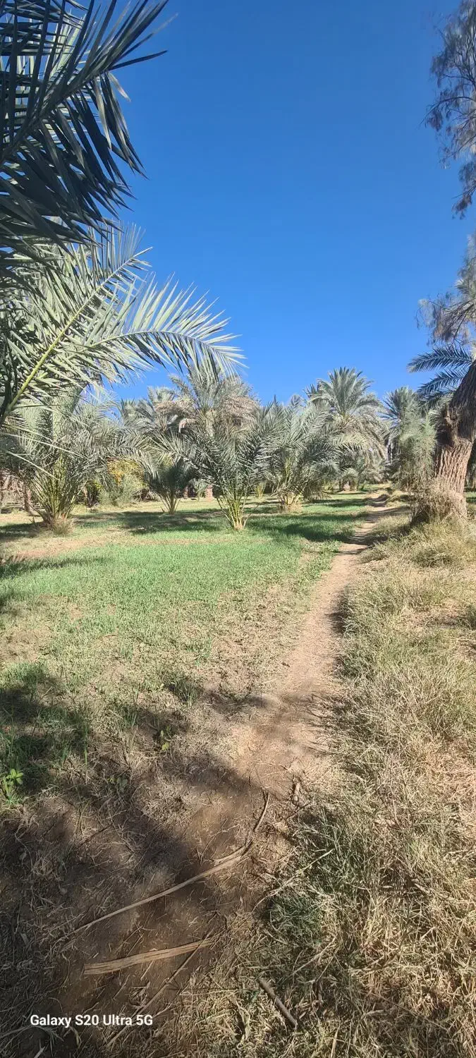 فروش اب کشاورزی|فروش دفتر صنعتی، کشاورزی، تجاری|سیب و سوران, |دیوار