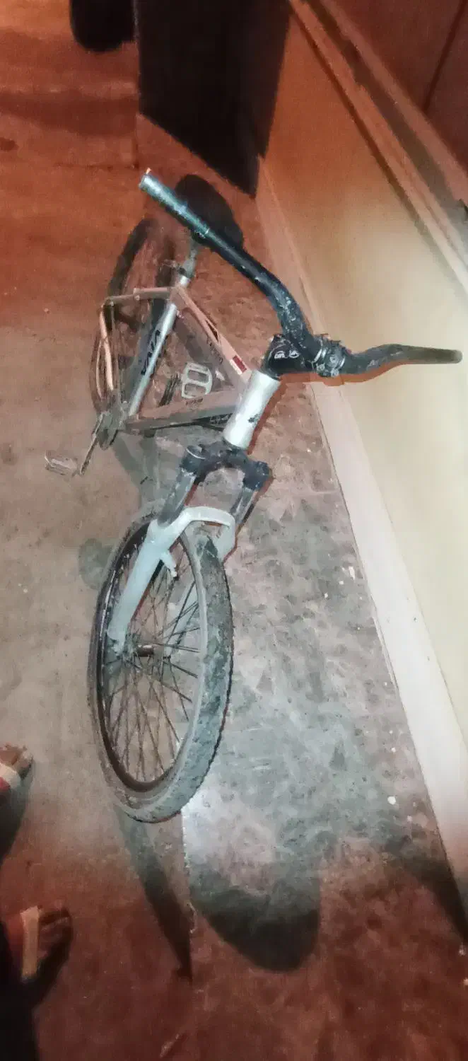 دوچرخه ۲۶|دوچرخه، اسکیت، اسکوتر|گنبد کاووس, |دیوار