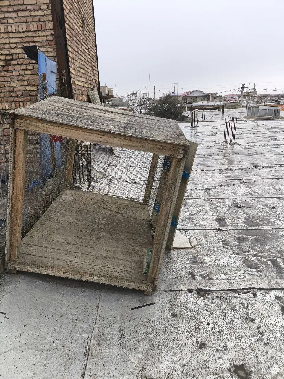 قفس|لوازم جانبی حیوانات|پارسآباد, |دیوار