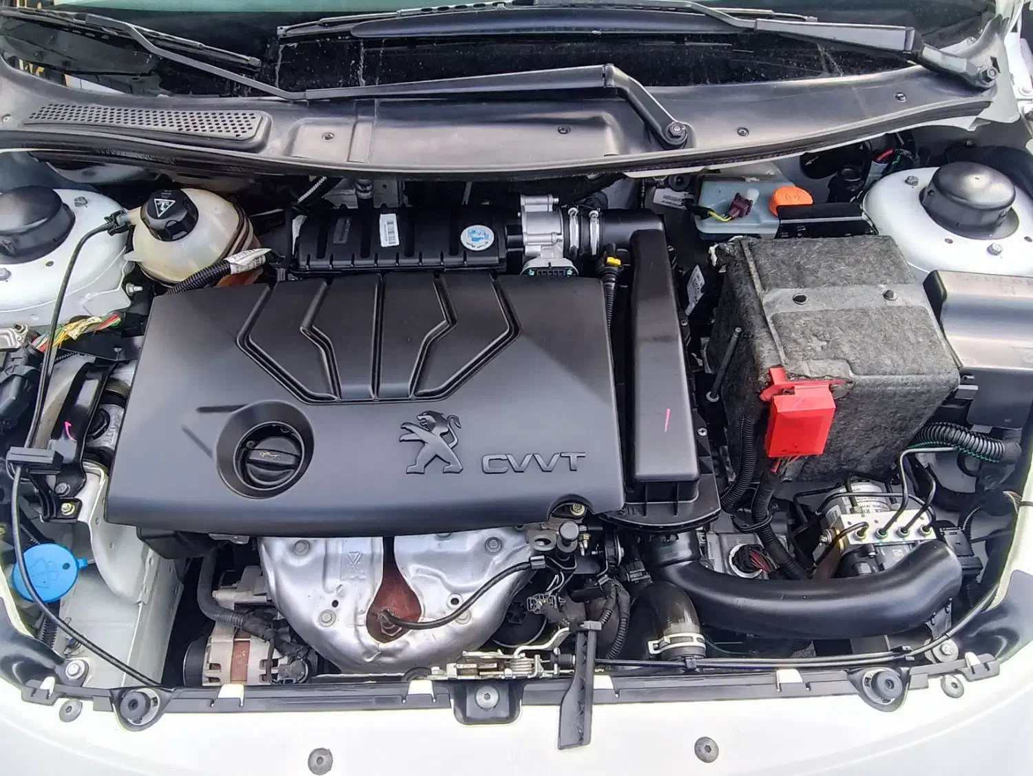 207 پانا اتومات 1403|خودرو سواری و وانت|مشهد, سمزقند|دیوار