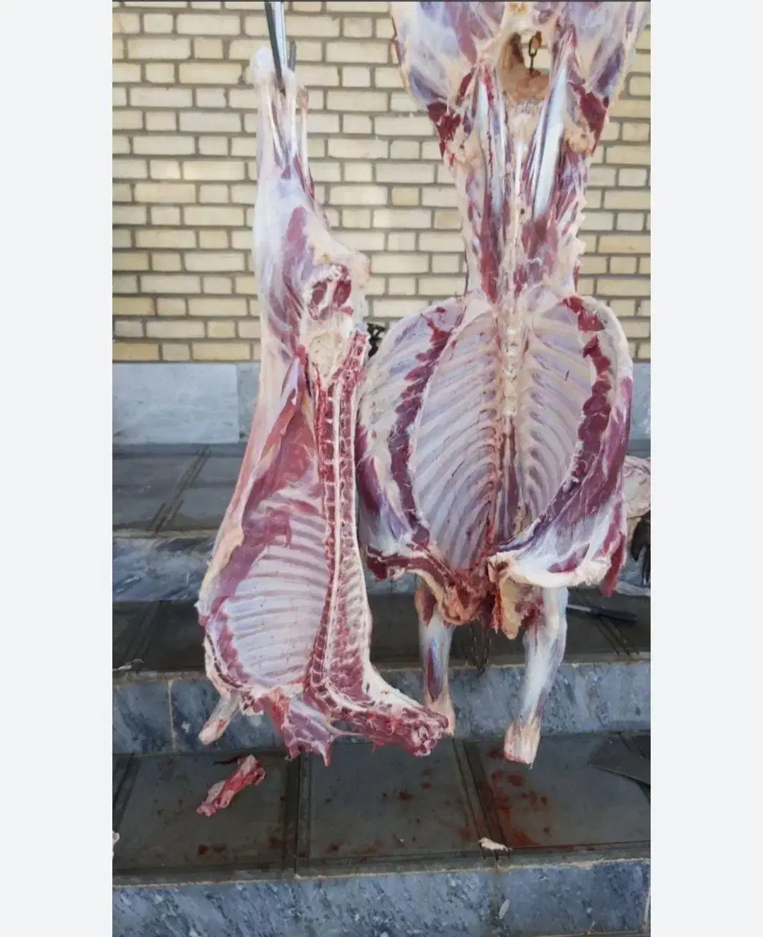 گوشت بره و بزغاله  باکیفیت اینجاست|خوردنی و آشامیدنی|اسفراین, |دیوار