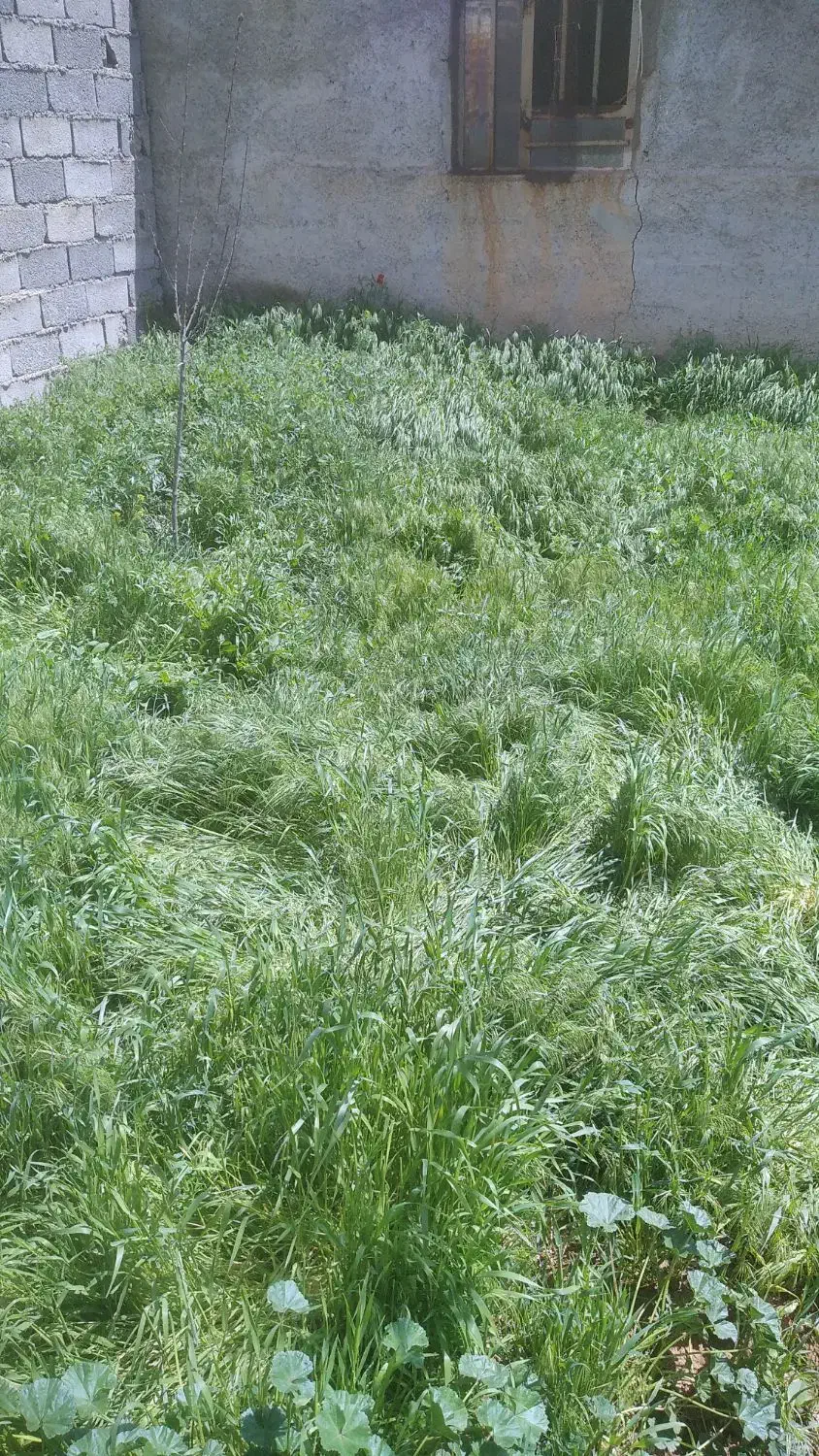 راهنمایی|فعالیت داوطلبانه|کلاترزان, |دیوار