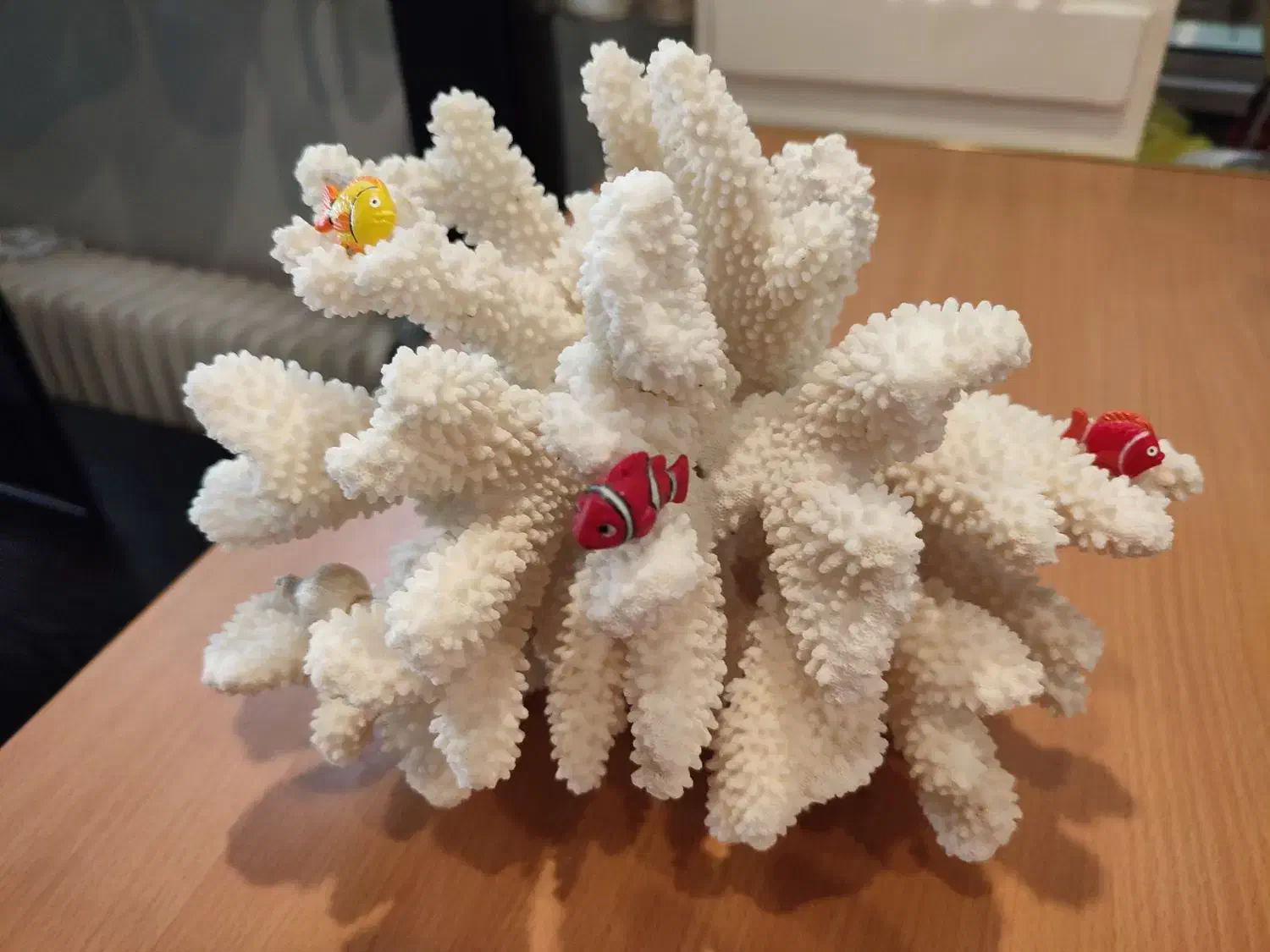 مرجان شاخ گوزنی طبیعی اصل|ماهی|تهران, وحیدیه|دیوار