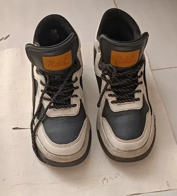 چهار جفت کفش کاملا نو|کیف، کفش، کمربند|پرند, فاز ۵|دیوار