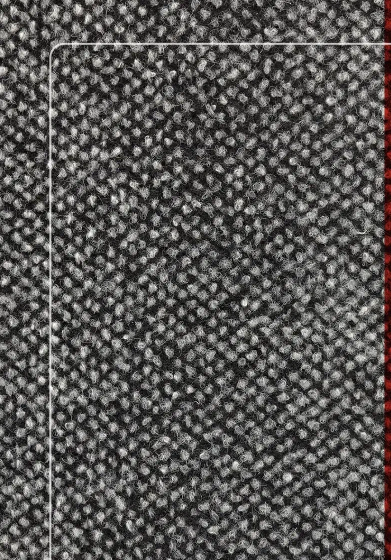 موکت طرح پالاز جدید موکت تندیس ۱۹۷۱|موکت|قم, شاه ابراهیم|دیوار