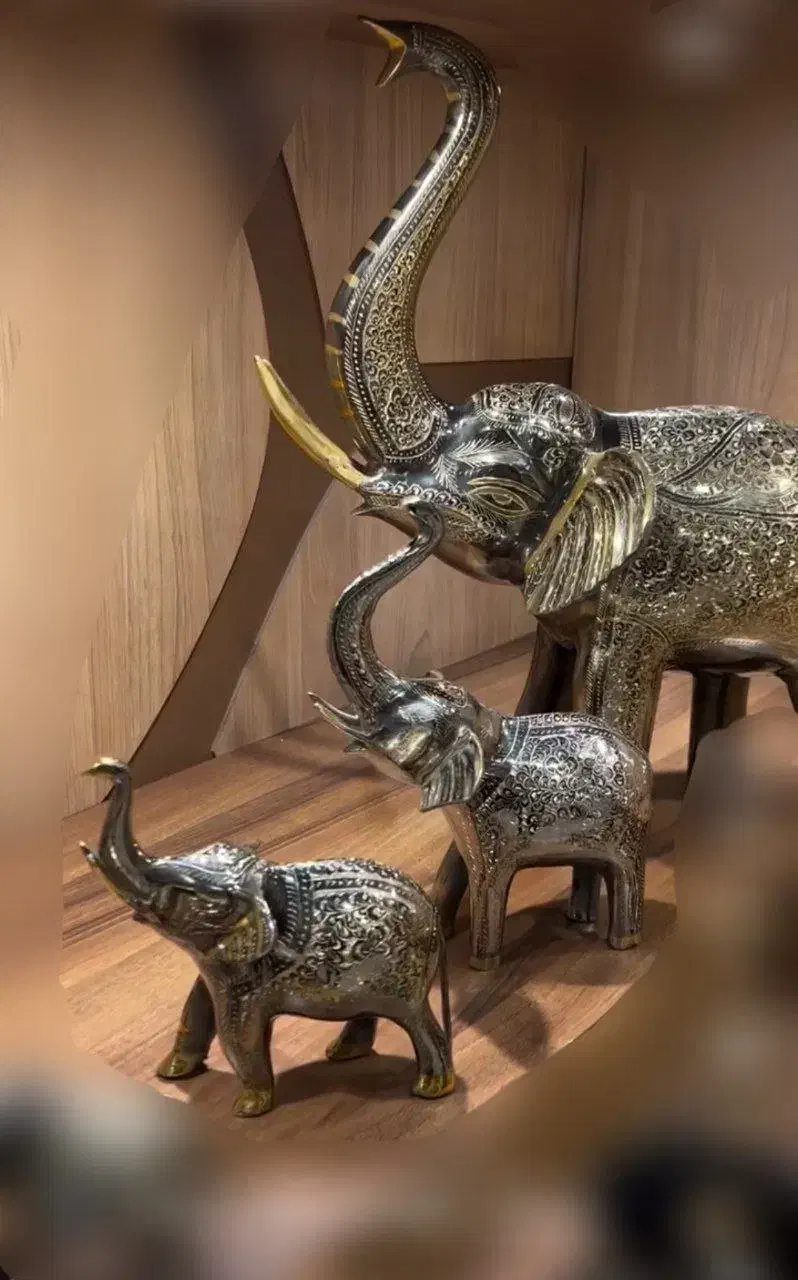 مجسمه برنزی ۵ عدد فیل و درنا جفتی|مجسمه، تندیس، ماکت|کرمان, |دیوار