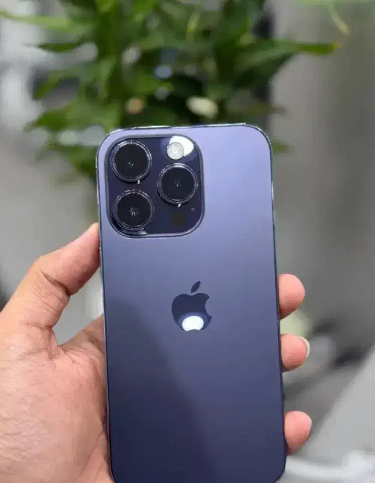 گوشی ایفن۱۴ پرو مکس ZAA|موبایل|بوشهر, |دیوار