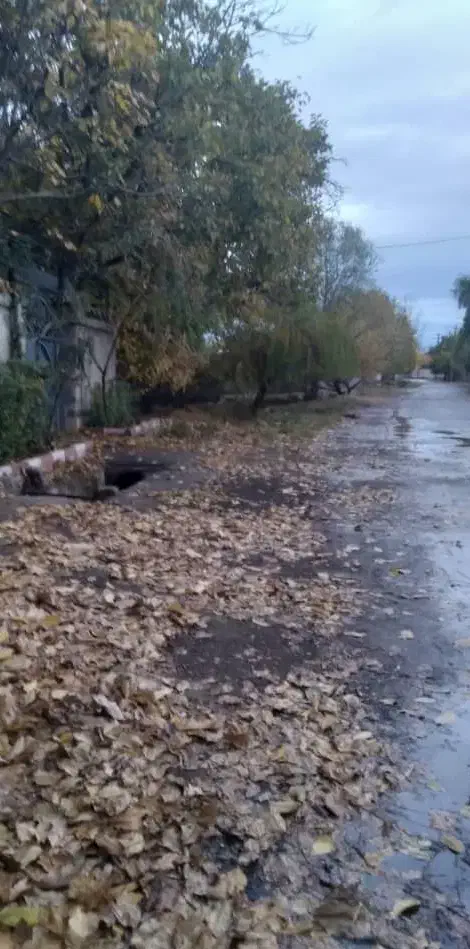 باغ بهشت جنگل2نبش کنتورکرج سهیلیه زعفرانیه کردان|فروش زمین و ملک کلنگی|کرج, عظیمیه|دیوار