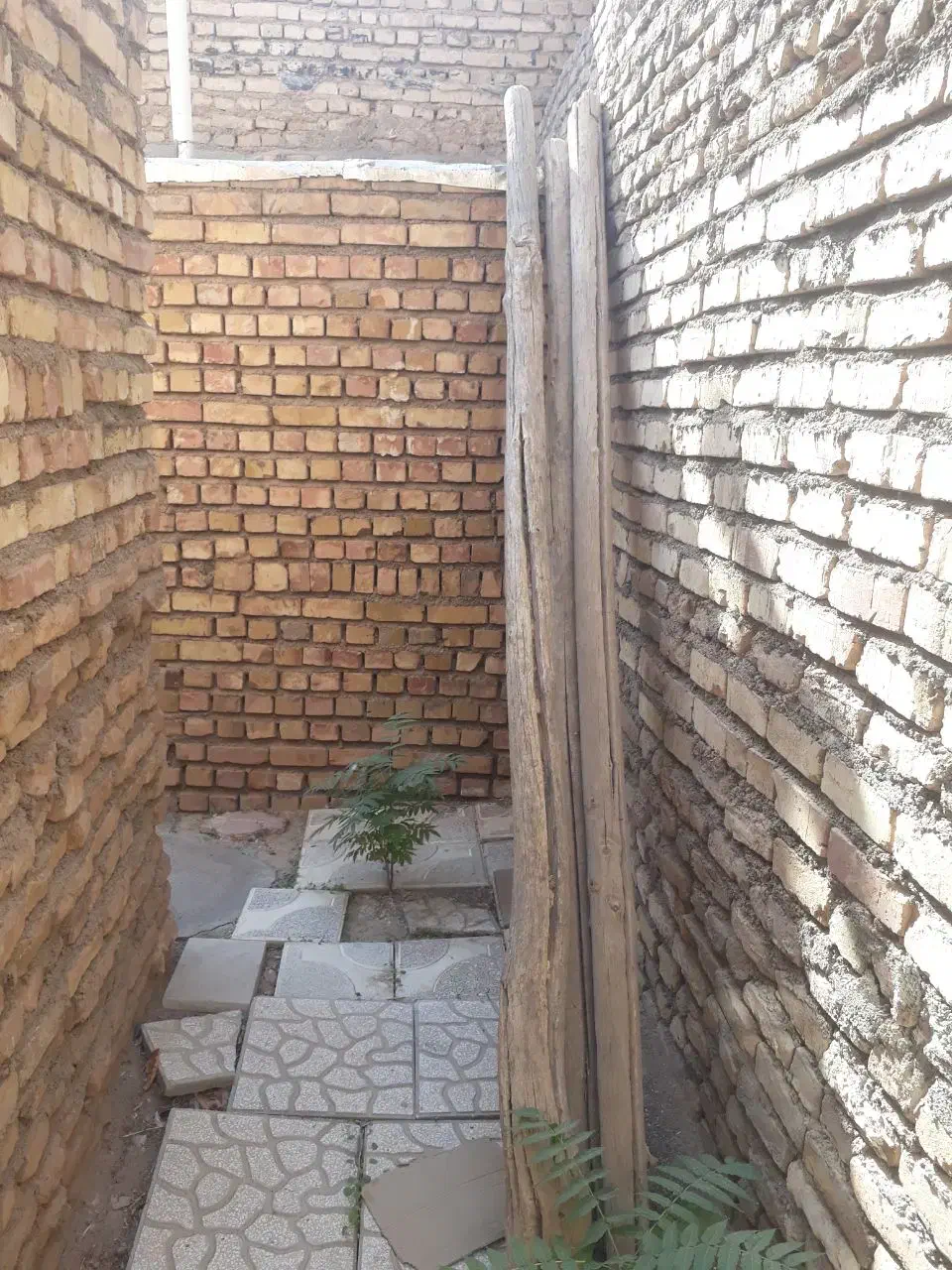 چوب‌فروشی‌دانه‌فقط۱۰۰|عمده‌فروشی|تربت جام, شهید مدرس|دیوار