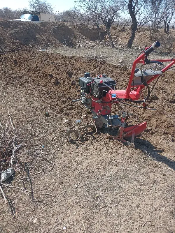 شخم باقات  حرص و خرید چوب درخت. سم پاشی|خدمات باغبانی و درختکاری|محمدیه-قزوین, |دیوار