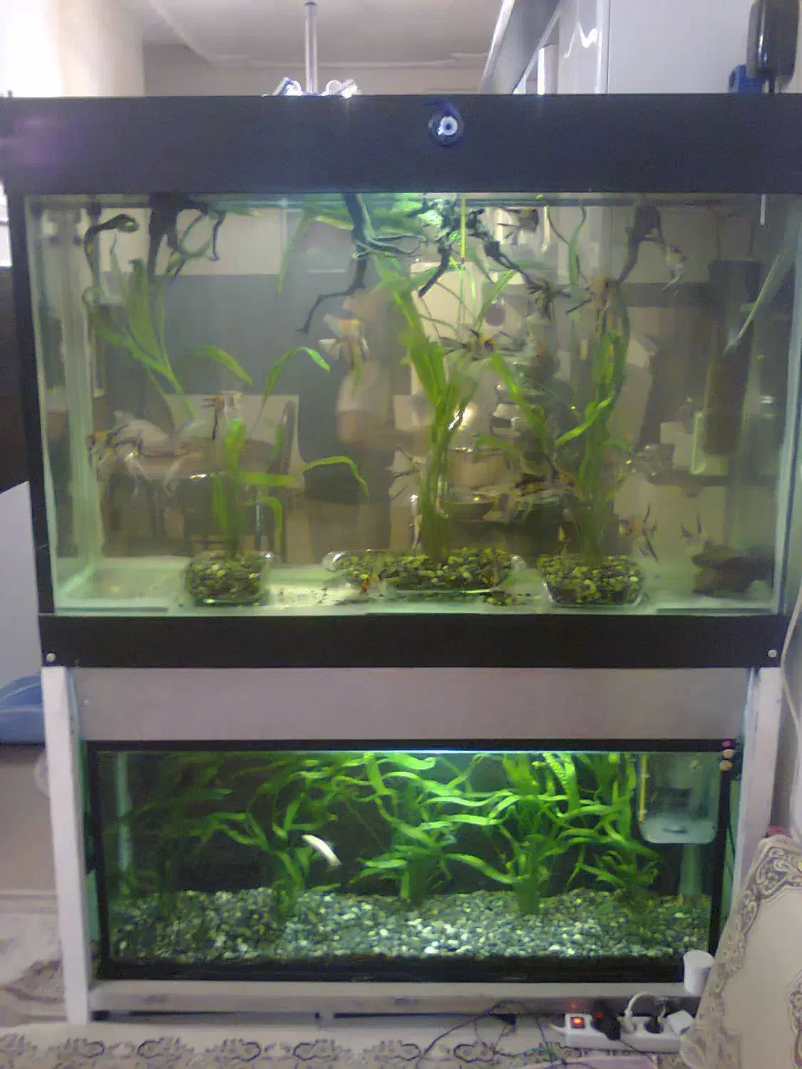 آکواریوم بزرگ و کوچک|لوازم جانبی حیوانات|اندیشه, اندیشه فاز ۲|دیوار