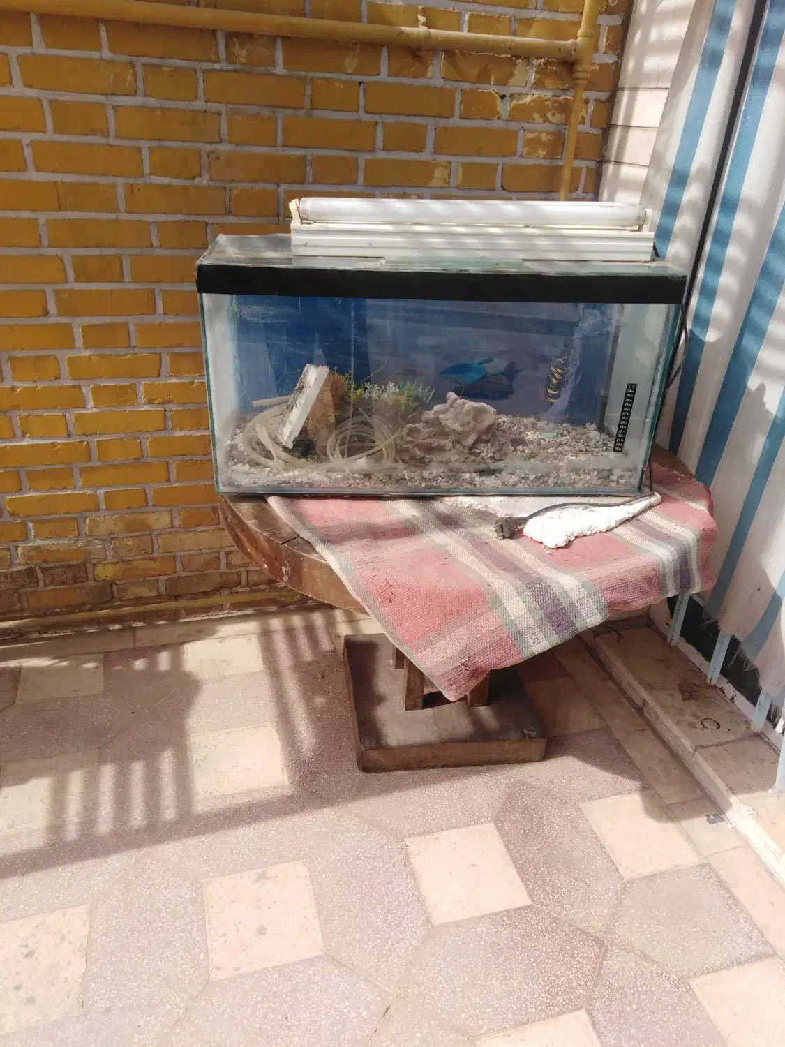 آکواریوم و میز گرد|ماهی|شیراز, شهرک جماران|دیوار