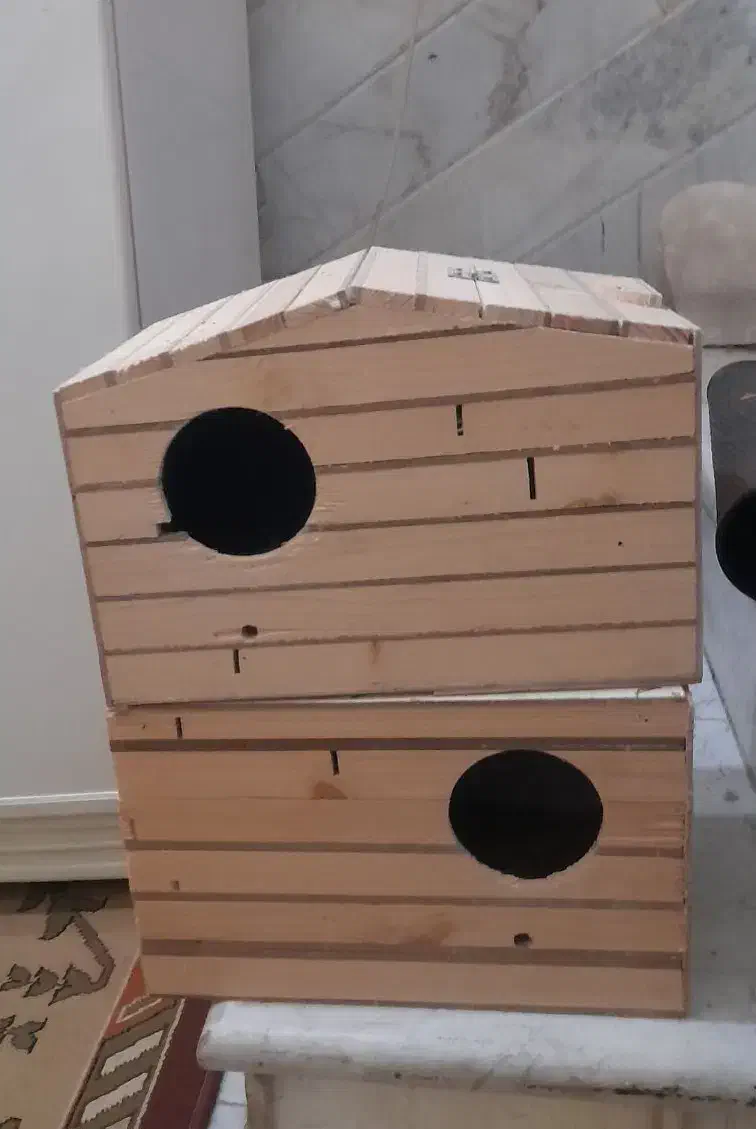 قفس و لونه|لوازم جانبی حیوانات|قم, بکایی|دیوار