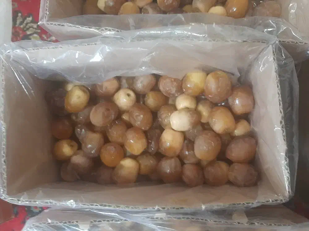 خرما هلیله|عمده‌فروشی|کرمان, |دیوار
