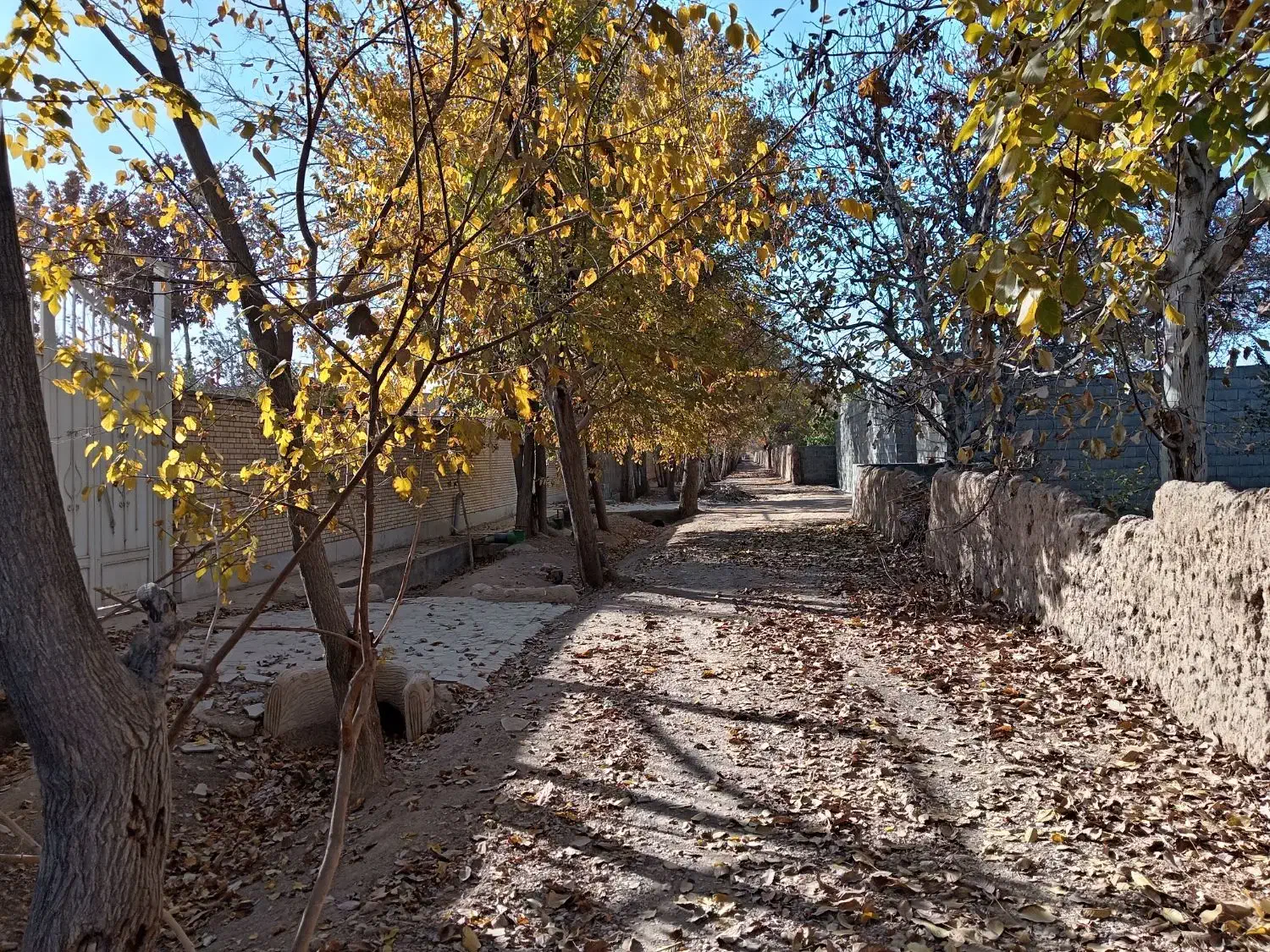 فروش باغ 700 متری|فروش زمین و ملک کلنگی|نجف‌آباد, قلعه سفید|دیوار