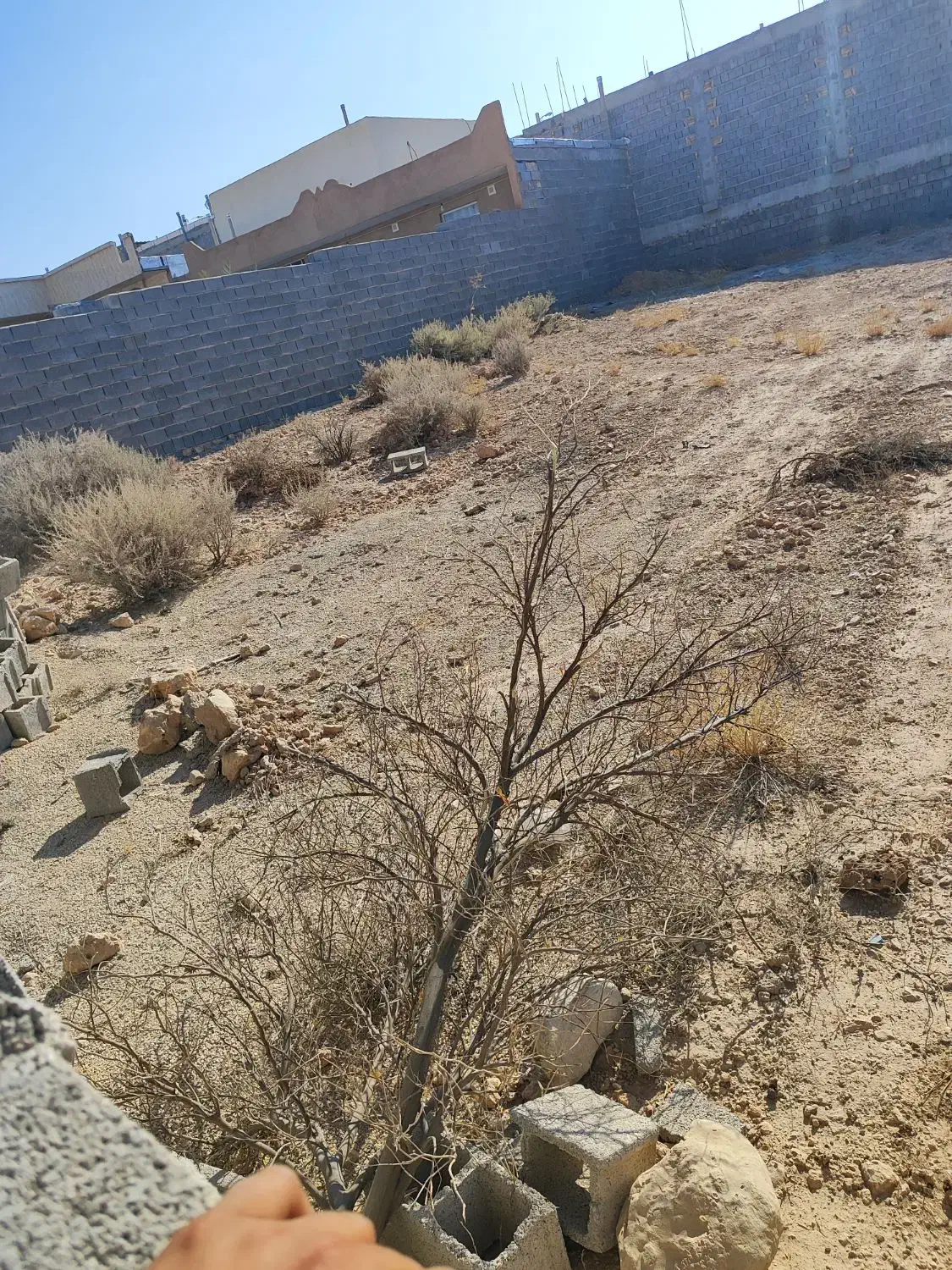 فروش زمین  حسین اباد داخل طرح|فروش زمین و ملک کلنگی|جهرم, |دیوار