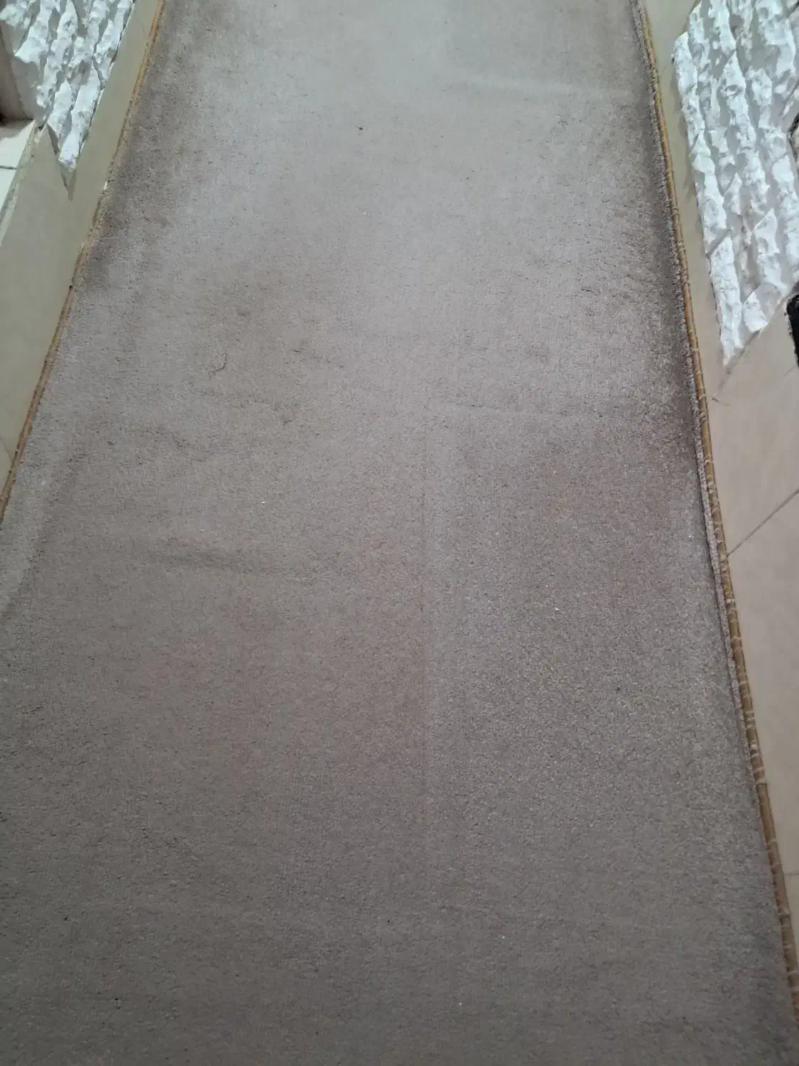 موکت|موکت|ساوه, |دیوار