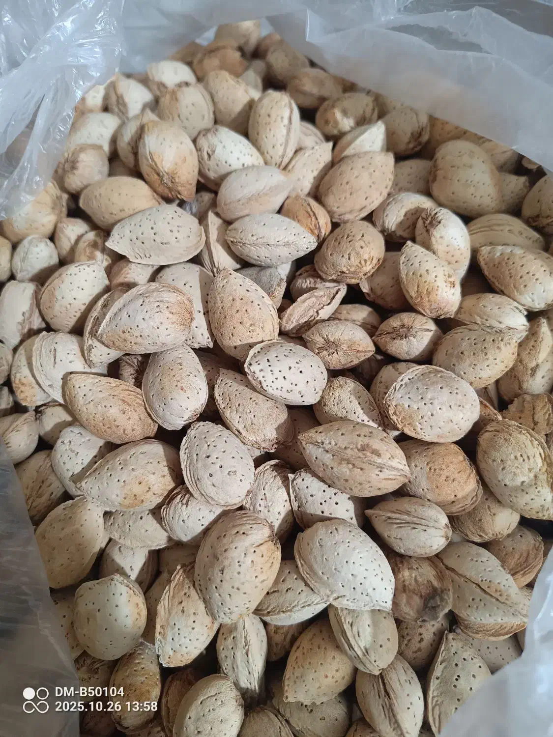 بادام درختی شیرین سنگی و پوست کاغذی|خوردنی و آشامیدنی|فردیس, شهرک هفده شهریور|دیوار