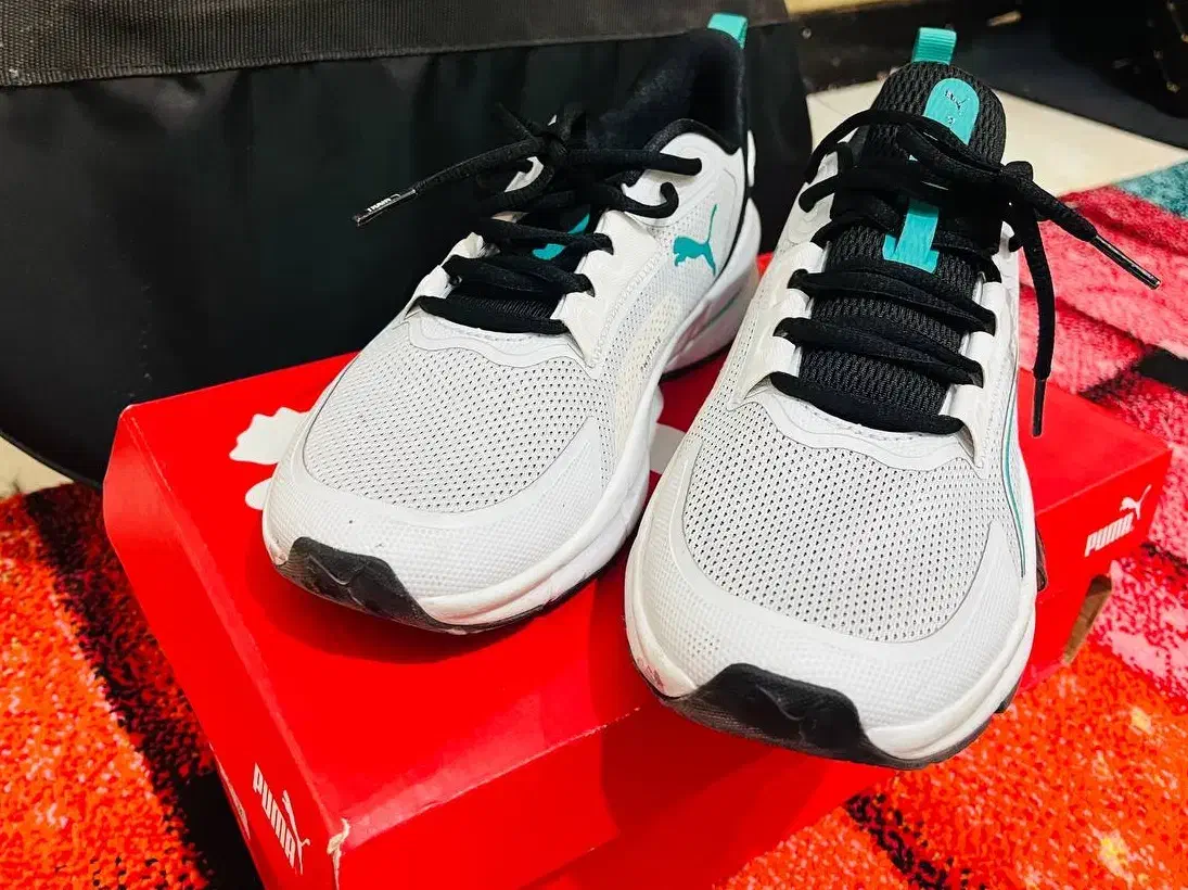 کفش اصل پوما نو بارکد دار|کیف، کفش، کمربند|شاهینشهر, مخابرات (شهید بهشتی)|دیوار