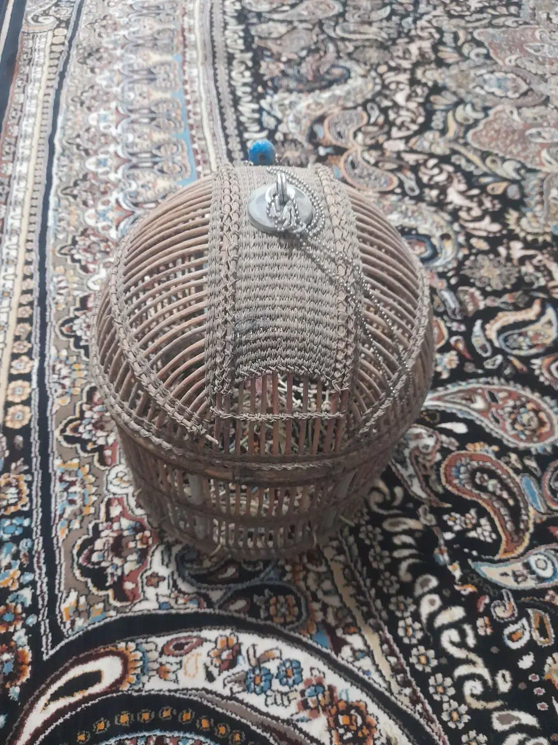 قفس کبک|لوازم جانبی حیوانات|تربتحیدریه, حاجی یار|دیوار