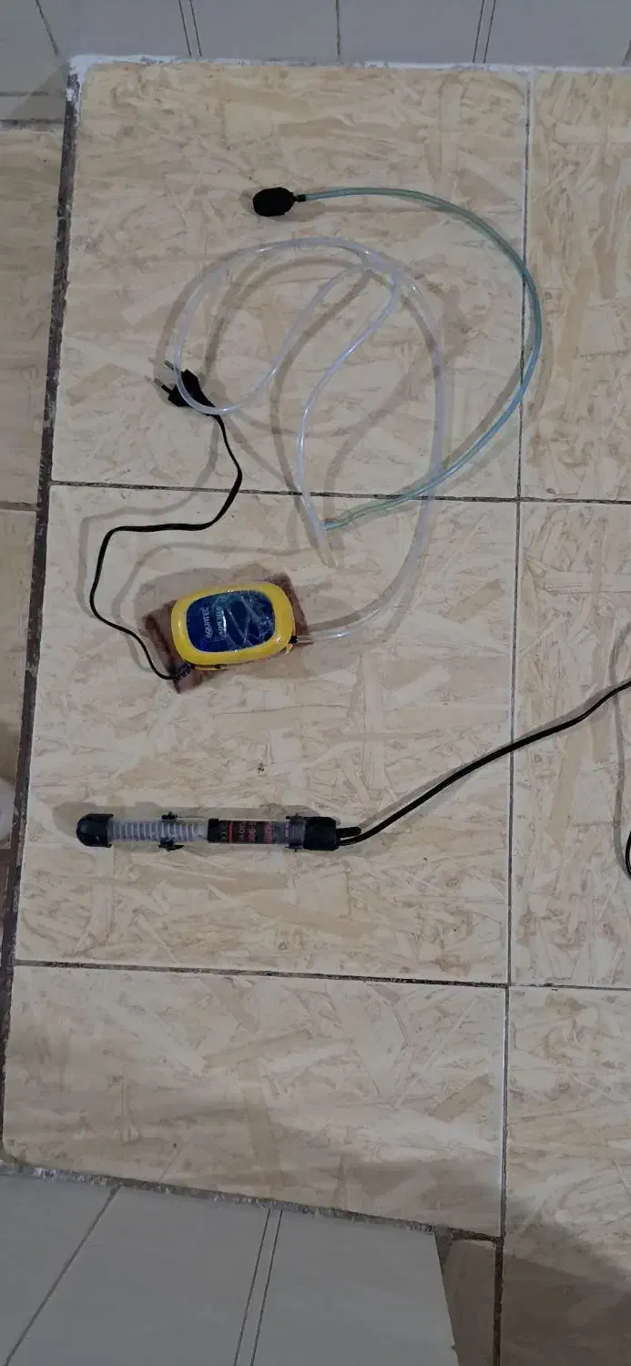 اکواریوم|ماهی|تاکستان, |دیوار