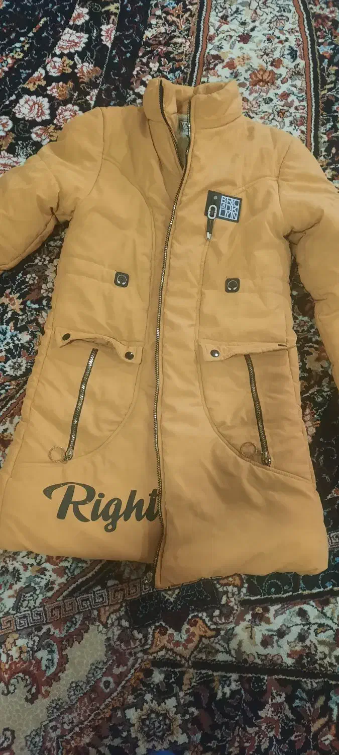 کاپشن. هودی|لباس|شوشتر, |دیوار