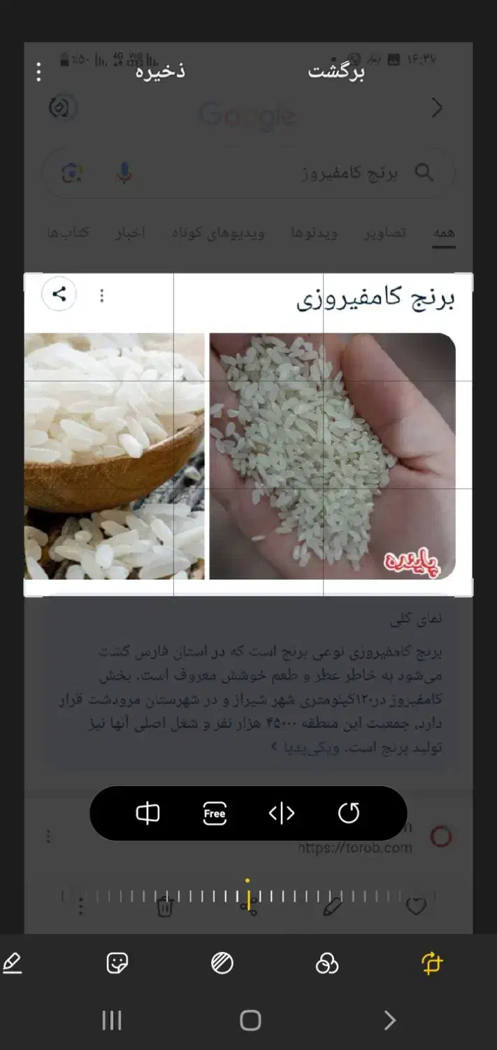 فروش برنج کامفیروز|عمده‌فروشی|کاشان, گبرها|دیوار